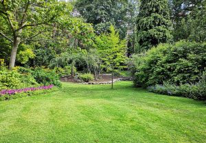 Optimiser l'expérience du jardin à Breistroff-la-Grande